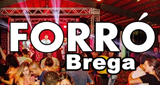 Logo Forro Brega