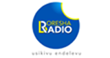Logo Boresha Radio