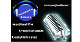 Logo MarjinalFM
