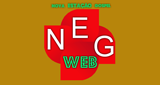 Logo RNEG