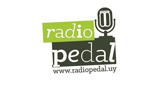Logo Radio Pedal