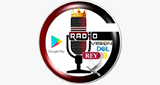 Logo Radio Vision Del Rey
