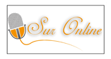 Logo Sur Online