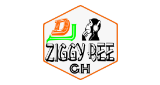 Logo Dj Ziggy Bee pro