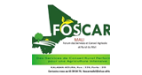 Logo Diallo Fréquence