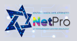 Logo NetPro Mada Radio
