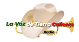 Logo La Voz de Tierra Caliente