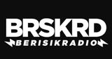 Logo Berisik Radio