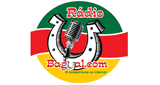Logo Radio Bagual