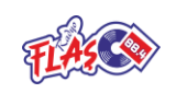 Logo Radyo Flaş