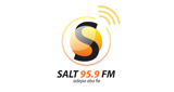 Logo Salt FM