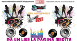 Logo RADIO STIL MIX MANELE 107.9 MHz FM