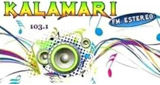 Logo Kalamary Stereo