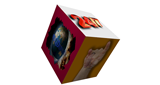 Logo WDCJDupont Internet Radio