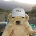 afterchain
