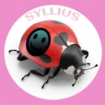 Syllius