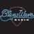 Logo de BluesWaveRadio