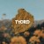 Tyord